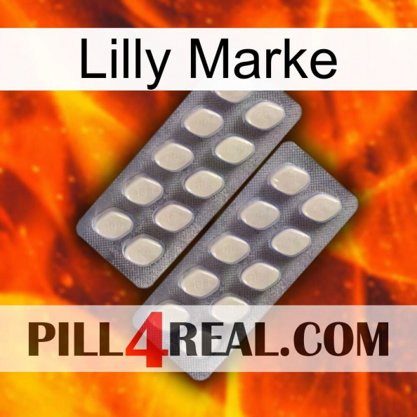 Lilly Brand 07.jpg